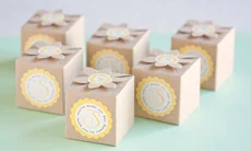 Party Favor Boxes